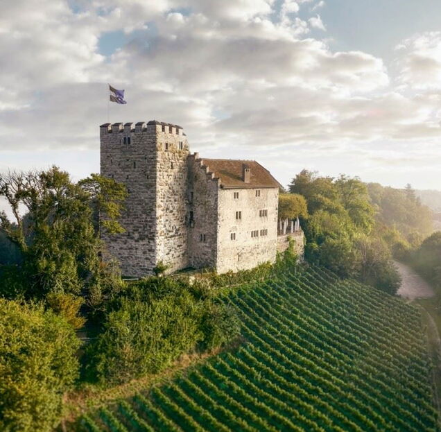 Schloss Habsburg 